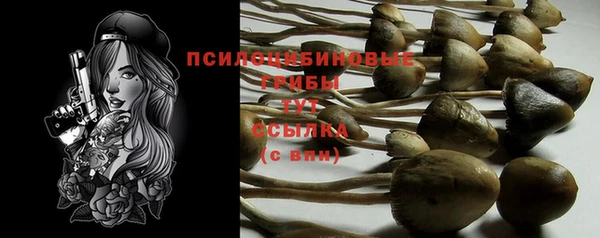 таблы Нея