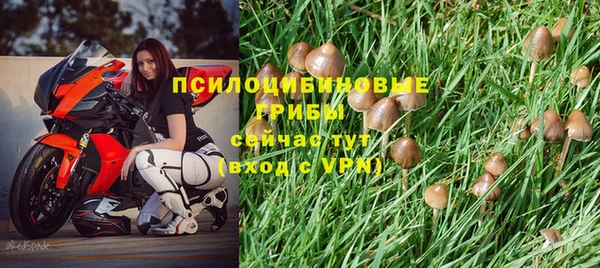 марки lsd Нефтекумск