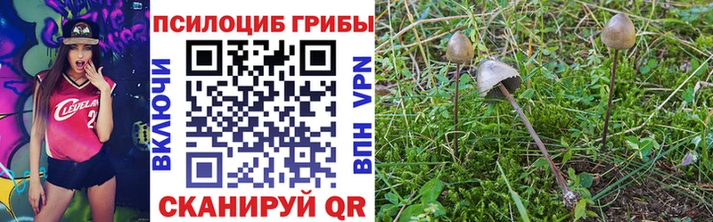 Псилоцибиновые грибы прущие грибы  Чегем 